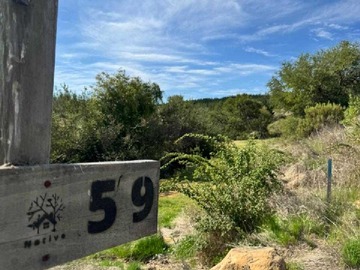 Venta / Terreno / Cauquenes