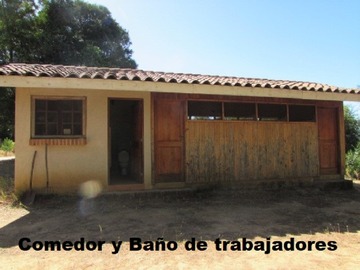 Imagen 21