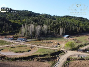 Venta / Terreno / Cauquenes