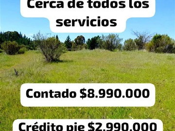 Imagen 10