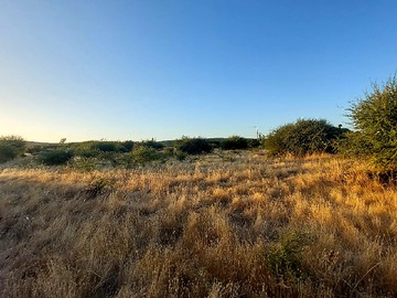 Venta / Terreno / Cauquenes