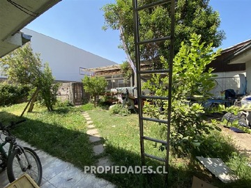 Imagen 7