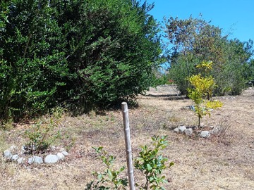 Imagen 14