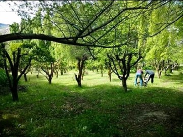 Venta / Terreno / Chile Chico