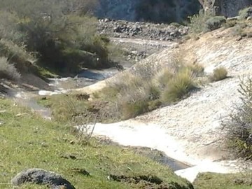Imagen 6