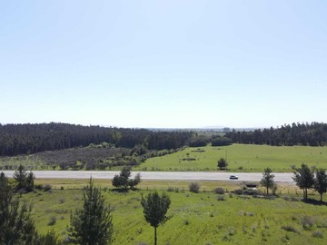 Venta / Terreno / Chillán Viejo