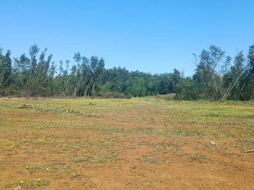 Venta / Terreno / Chillán Viejo