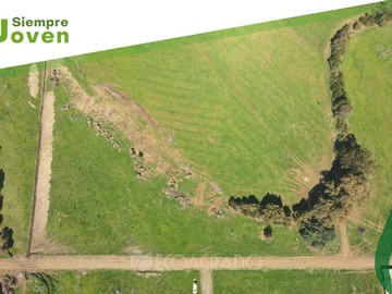 Venta / Terreno / Chillán Viejo