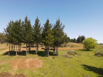 Venta / Terreno / Chillán Viejo