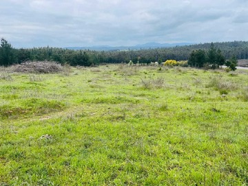 Venta / Terreno / Chillán Viejo