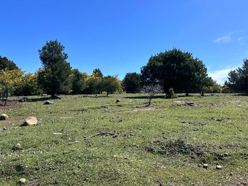 Venta / Terreno / Chillán Viejo