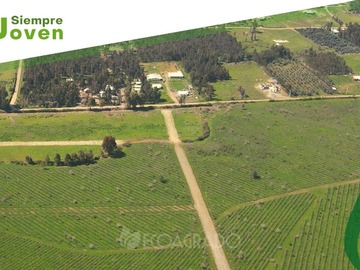 Venta / Terreno / Chillán Viejo