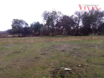Imagen 16
