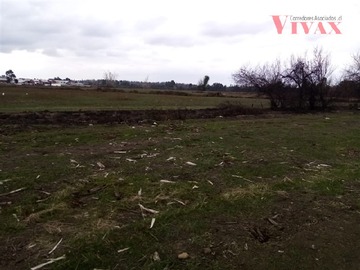 Imagen 14
