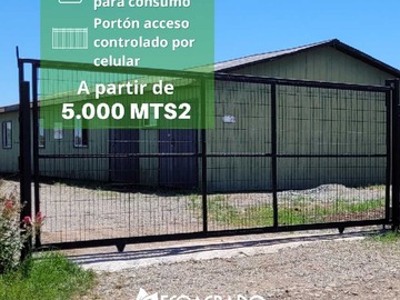 Venta / Terreno / Chillán