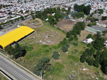 Imagen 11