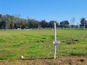 Venta / Terreno / Chillán