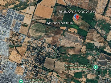Imagen 20