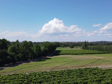 Venta / Terreno / Chillán