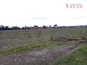 Imagen 8