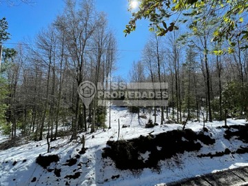 Imagen 11