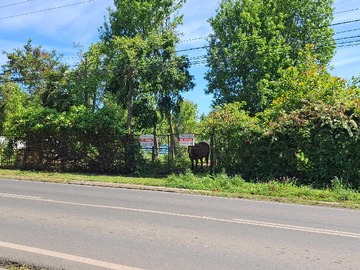 Venta / Terreno / Chillán