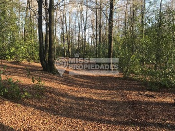 Venta / Terreno / Chillán
