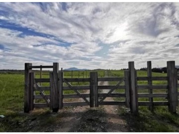 Venta / Terreno / Chillán