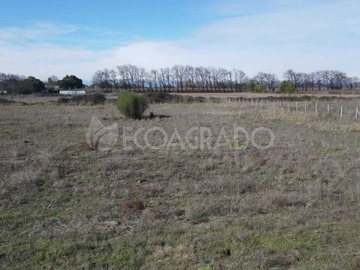 Venta / Terreno / Chillán