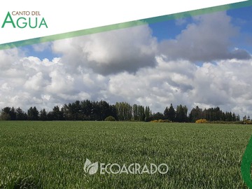 Venta / Terreno / Chillán