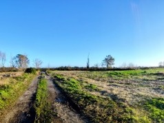 Venta / Terreno / Chillán