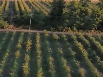 Venta / Terreno / Chillán