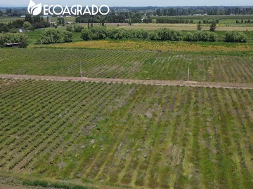 Venta / Terreno / Chillán