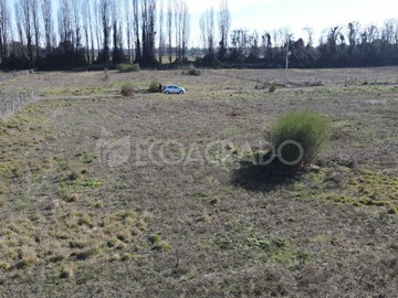 Imagen 10