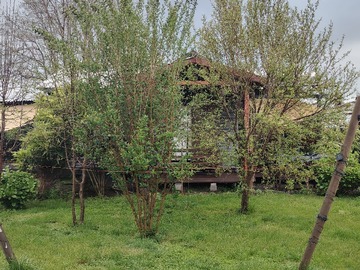 Venta / Terreno / Chillán
