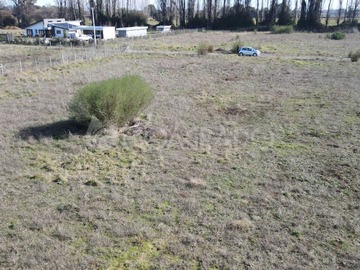 Imagen 11