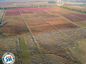 Venta / Terreno / Chillán