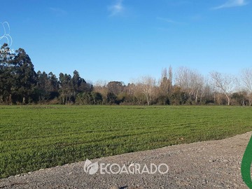 Venta / Terreno / Chillán