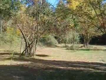 Imagen 14