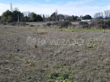 Imagen 9