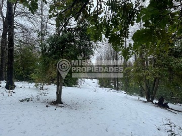 Imagen 7