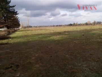 Imagen 7