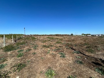 Venta / Terreno / Chillán