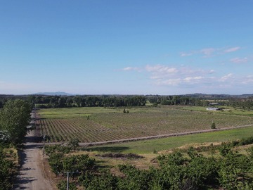Venta / Terreno / Chillán