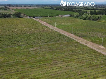 Venta / Terreno / Chillán