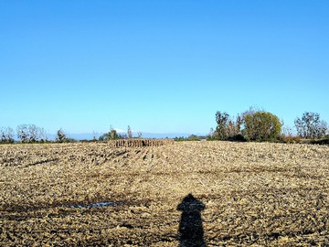 Venta / Terreno / Chillán