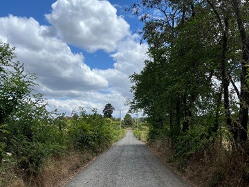 Venta / Terreno / Chillán