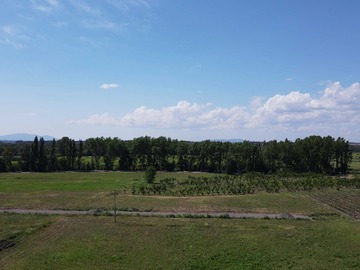 Venta / Terreno / Chillán