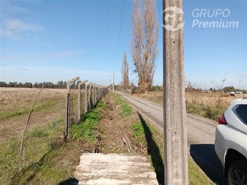 Imagen 6
