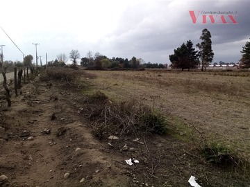 Imagen 20